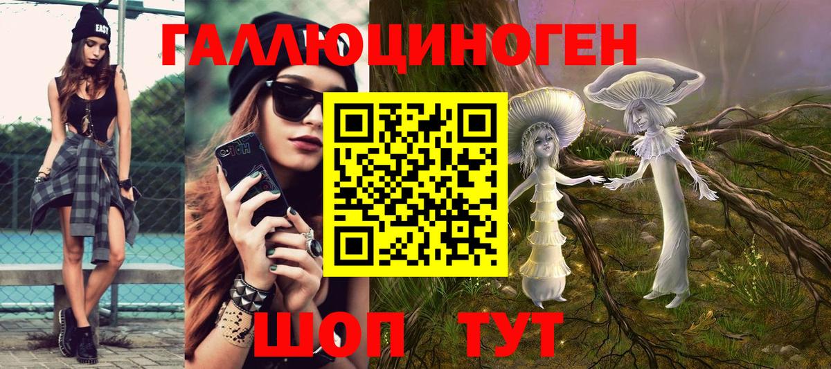 Камышлов  Псилоцибиновые грибы Psilocybine cubensis  купить наркоту  Вход с VPN 