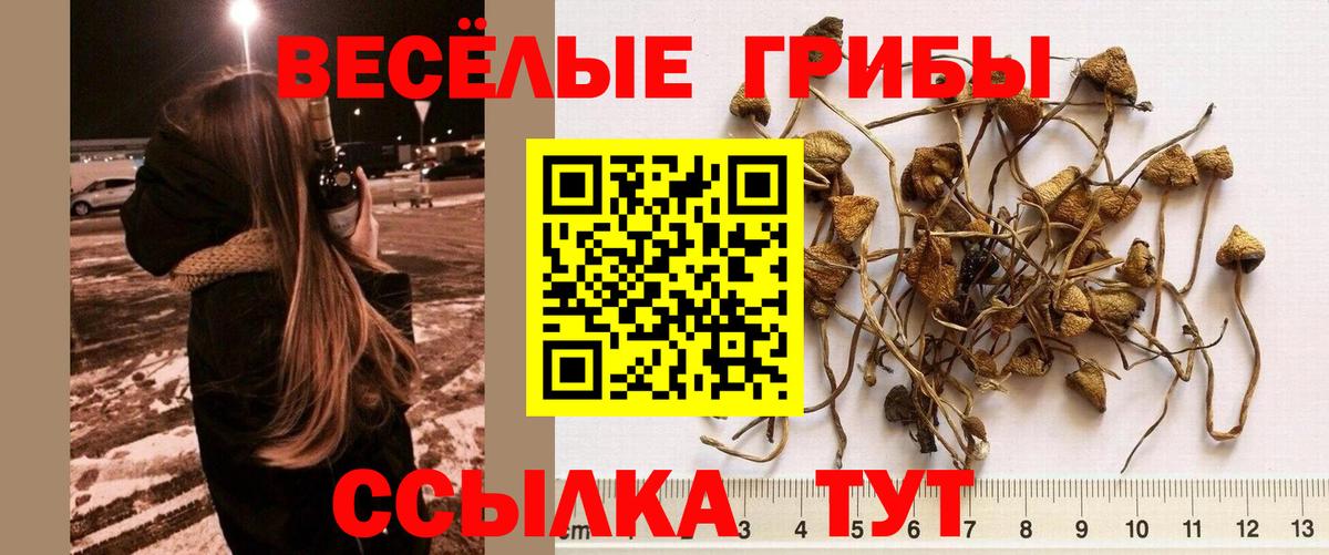 МАРИХУАНА  ГАШ  Продажа наркотиков  МЕТ  Кокаин  Меф МЯУ МЯУ кристаллы  Лсд 25  Codein  Камышлов  Вход с VPN  КОКАИН  APVP СОЛЬ кристаллы 